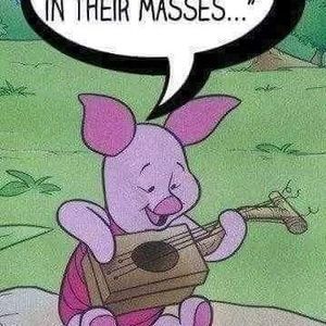 Meet your Posher, Holly